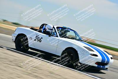 media/May-24-2025-Turn8 Trackdays (Sat) [[034586b55d]]/2 Advanced 1/Session 2 (Cotton Corners-Grapevine)/